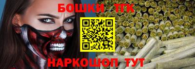 индика Анжеро-Судженск