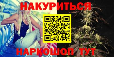 индика Анжеро-Судженск