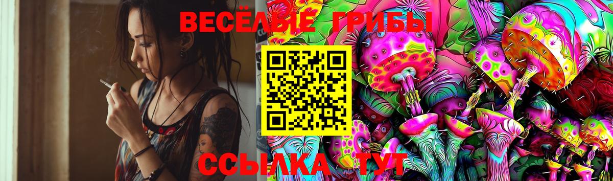 Галлюциногенные грибы GOLDEN TEACHER  Галлюциногенные грибы мицелий  Гудермес  Вход с VPN 